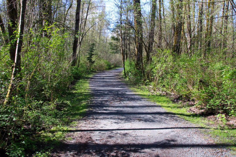 Hiking and Cylcing Brae Island Regional Park Trails Fort Camping